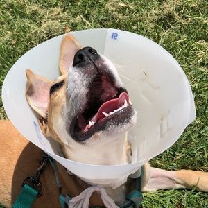 Meet your Posher, Katy